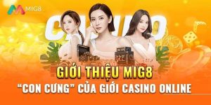 Thông tin giới thiệu cơ bản về MIG8VN