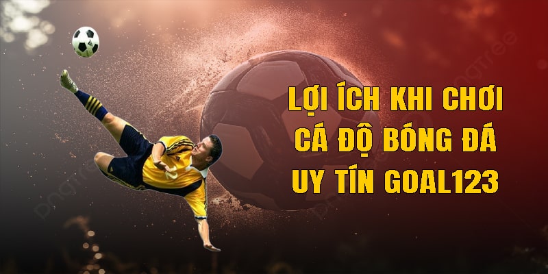 Lợi ích khi chơi cá độ bóng đá uy tín Goal123 